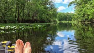 Spring Camping Getaways at Florida State Forests