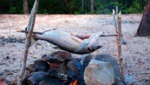 How to Clean a Fish at the Campsite (And Then Cook It)