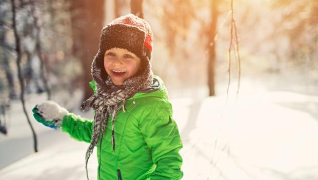 Build a Fort and Have a Snowball Fight